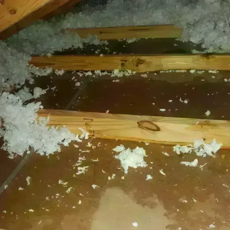 Attic Water Damage in Bridgeport, WV