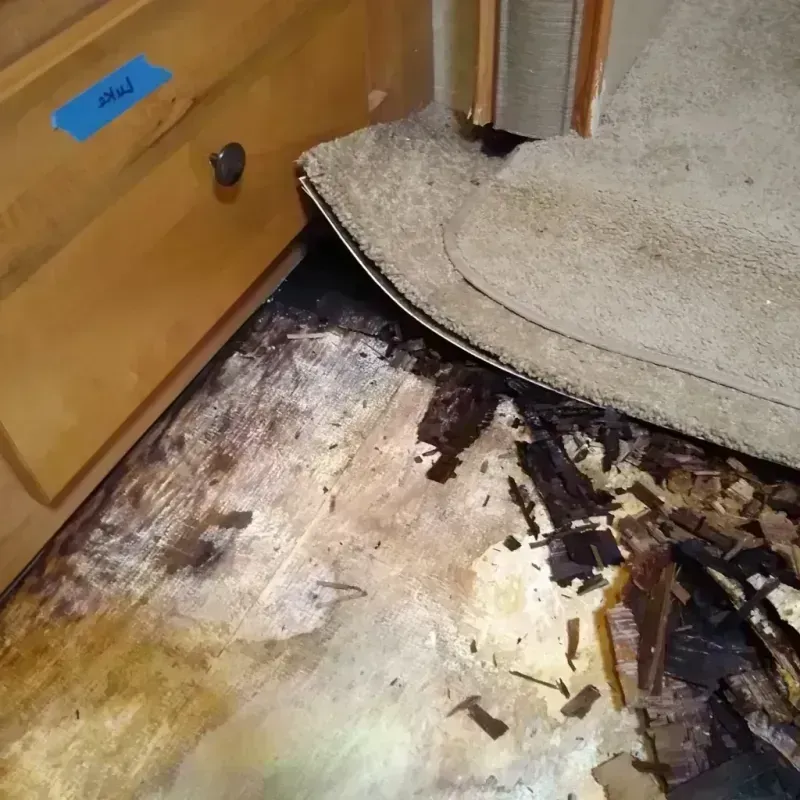 Best Wood Floor Water Damage Service in Bridgeport, WV